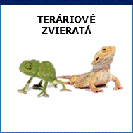 teráriové zvieratá